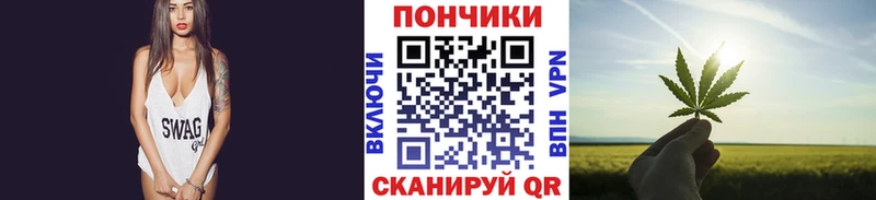 Бошки марихуана White Widow  MEGA зеркало  Каргат 